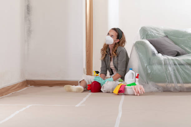 Reliable Mold Testing contractor in Brandywine, MD by WQB Mold Removal
